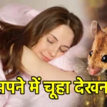 सपने में चूहा देखना