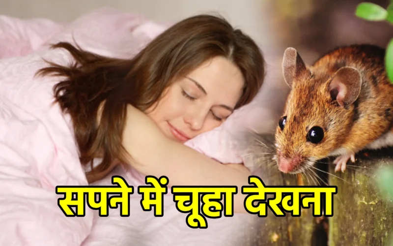 सपने में चूहा देखना