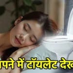 सपने में टॉयलेट देखना