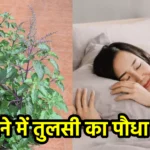 सपने में तुलसी का पौधा देखना