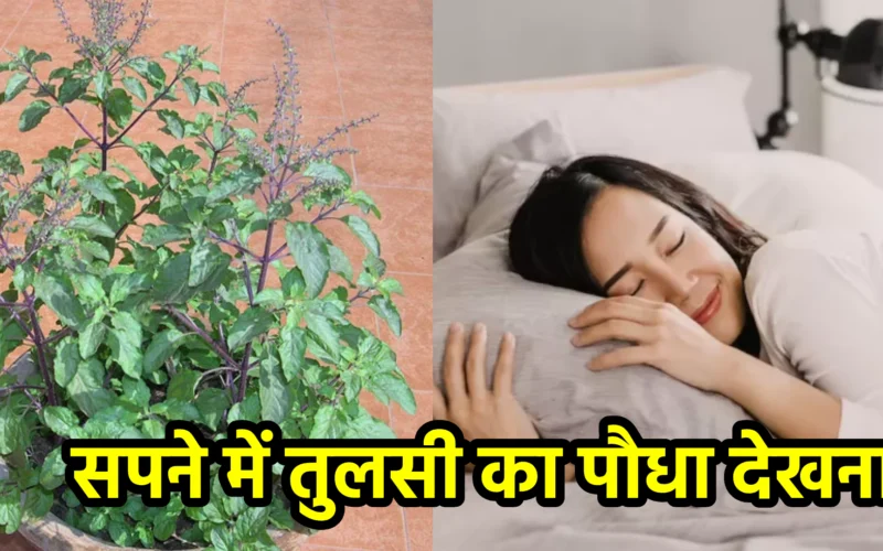 सपने में तुलसी का पौधा देखना