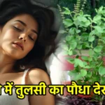 सपने में तुलसी का पौधा देखना