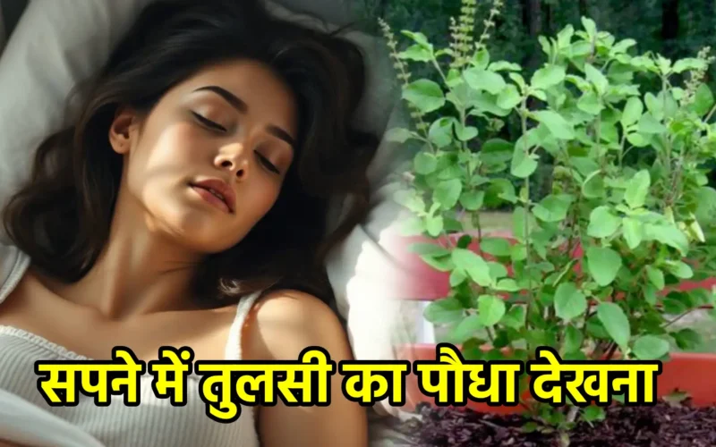 सपने में तुलसी का पौधा देखना