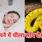 सपने में पीला साँप देखना