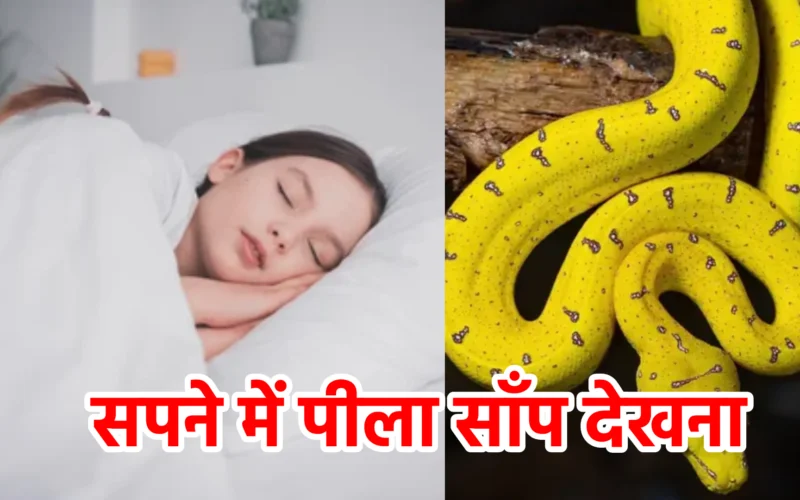 सपने में पीला साँप देखना