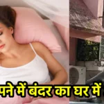 सपने में बंदर का घर में आना