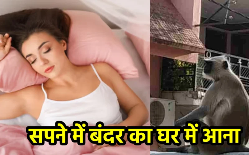 सपने में बंदर का घर में आना