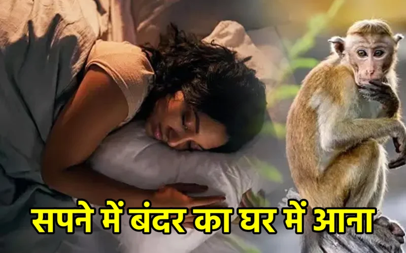 सपने में बंदर का घर में आना