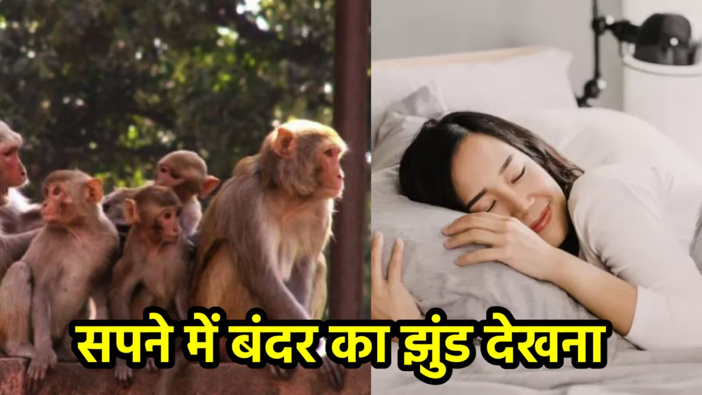 सपने में बंदर का झुंड देखना