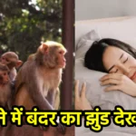सपने में बंदर का झुंड देखना