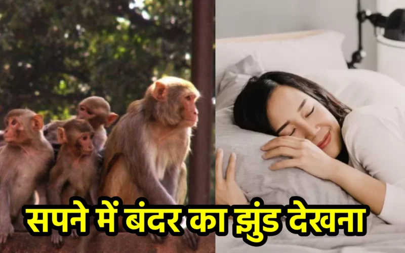 सपने में बंदर का झुंड देखना