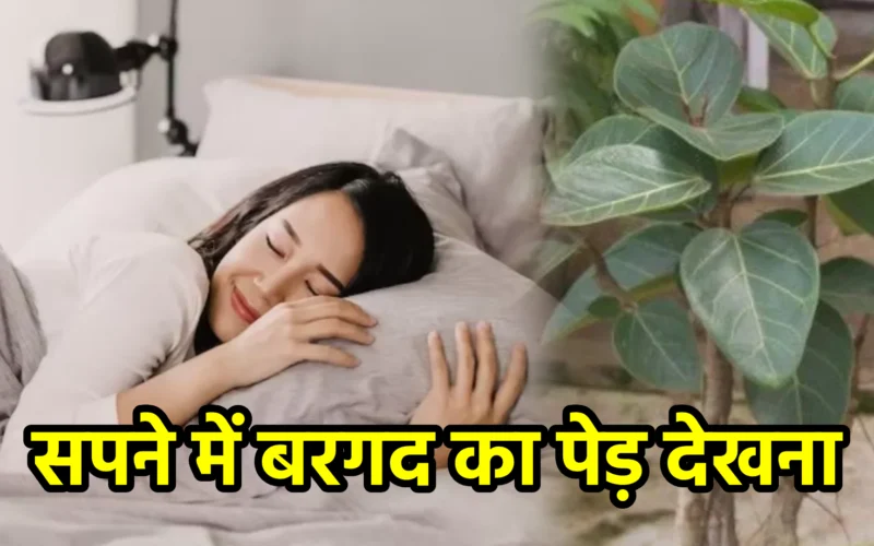 सपने में बरगद का पेड़ देखना : जानिए आयु, आशीर्वाद और आध्यात्मिक स्थिरता से जुड़ा यह दिव्य स्वप्न संकेत