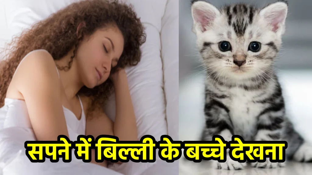 सपने में बिल्ली के बच्चे देखना