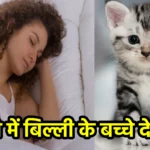 सपने में बिल्ली के बच्चे देखना