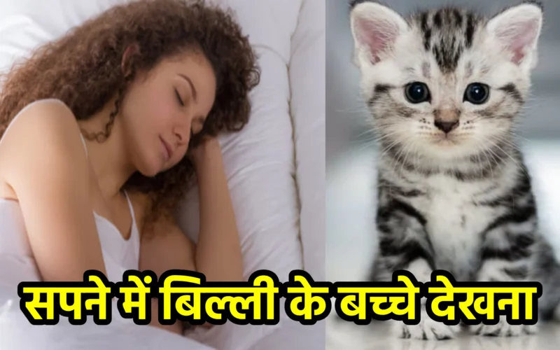 सपने में बिल्ली के बच्चे देखना