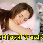 सपने में बिल्ली के बच्चे देखना