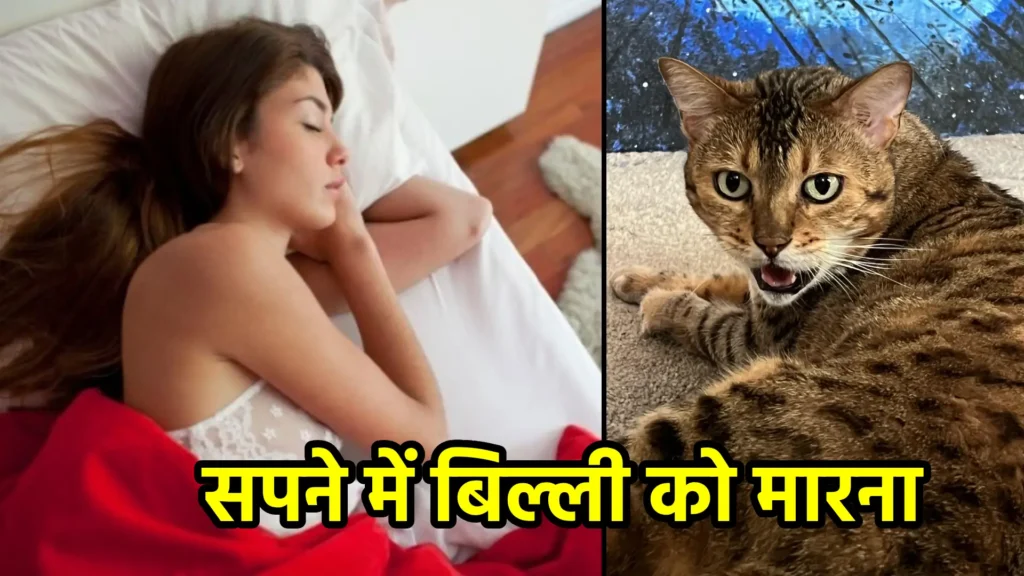 सपने में बिल्ली को मारना