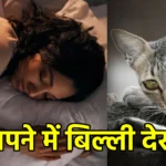 सपने में बिल्ली देखना