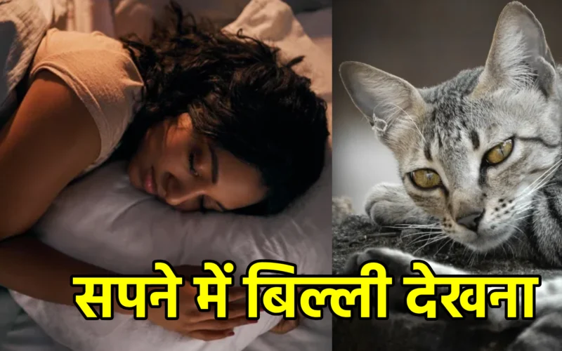 सपने में बिल्ली देखना