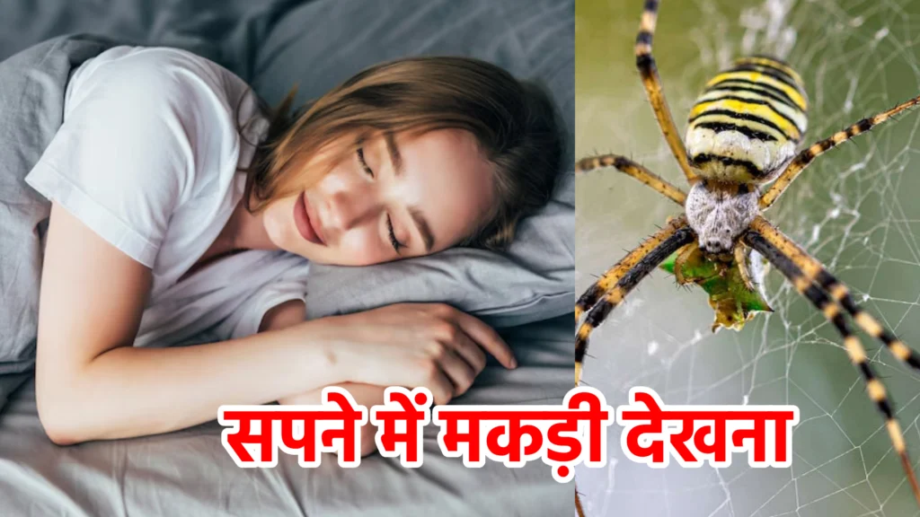 सपने में मकड़ी देखना