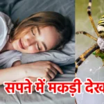 सपने में मकड़ी देखना
