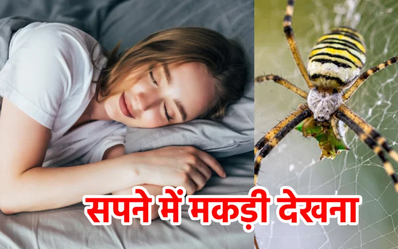 सपने में मकड़ी देखना : जानिए उलझनों, मानसिक जाल और आत्ममुक्ति से जुड़ा यह रहस्यमय संकेत