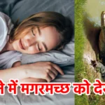 सपने में मगरमच्छ को देखना