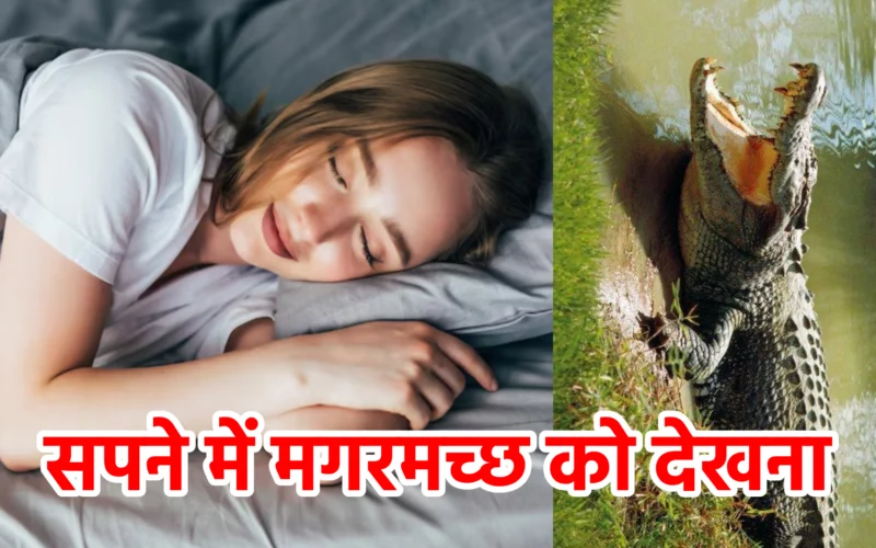 सपने में मगरमच्छ को देखना : जानिए छिपे हुए भय, धोखे और आंतरिक शक्ति से जुड़ा यह रहस्यमय संकेत
