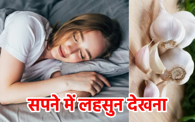 सपने में लहसुन देखना : जानिए रोग, नकारात्मकता और आत्मशुद्धि से जुड़ा यह रहस्यमय संकेत