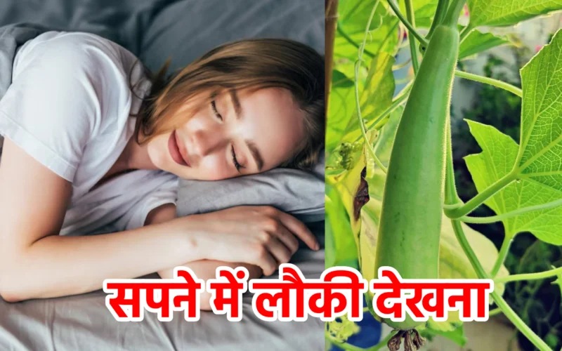 सपने में लौकी देखना : जानिए शुद्धता, संयम और स्वास्थ्य से जुड़ा यह शांत संकेत