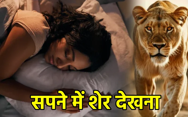 सपने में शेर देखना