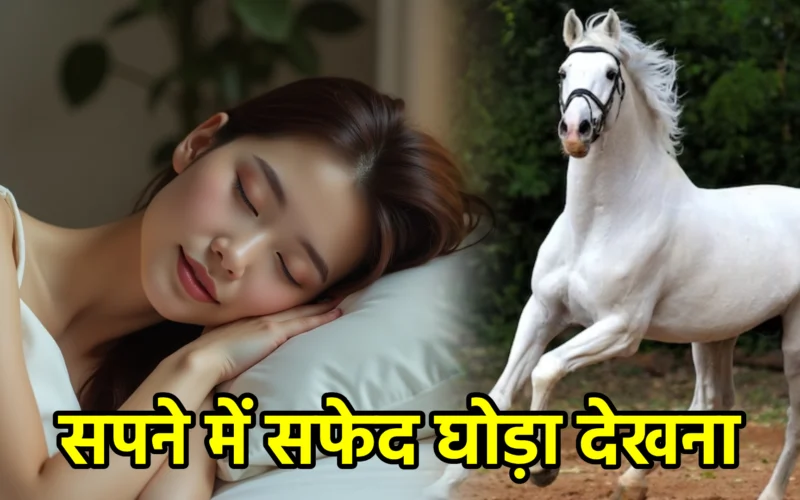 सपने में सफेद घोड़ा देखना : जानिए शौर्य, सफलता और आध्यात्मिक उन्नति से जुड़ा यह शुभ संकेत