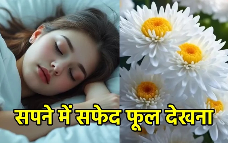 सपने में सफेद फूल देखना