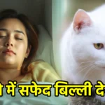 सपने में सफेद बिल्ली देखना