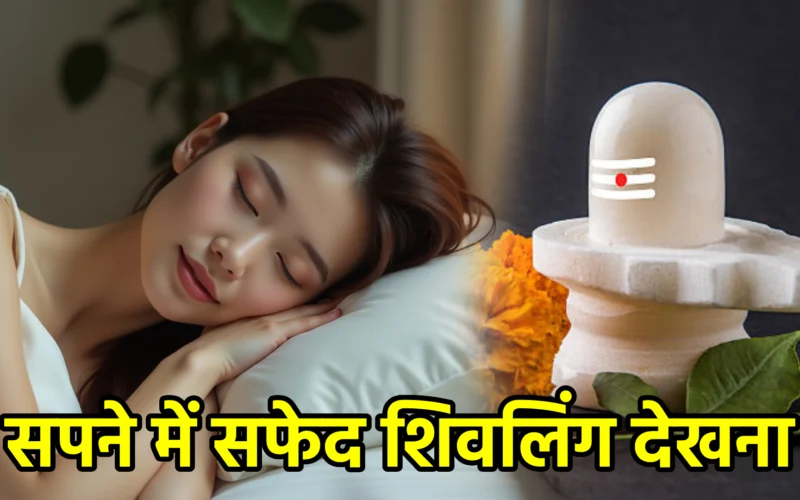 सपने में सफेद शिवलिंग देखना