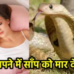 सपने में साँप को मार देना