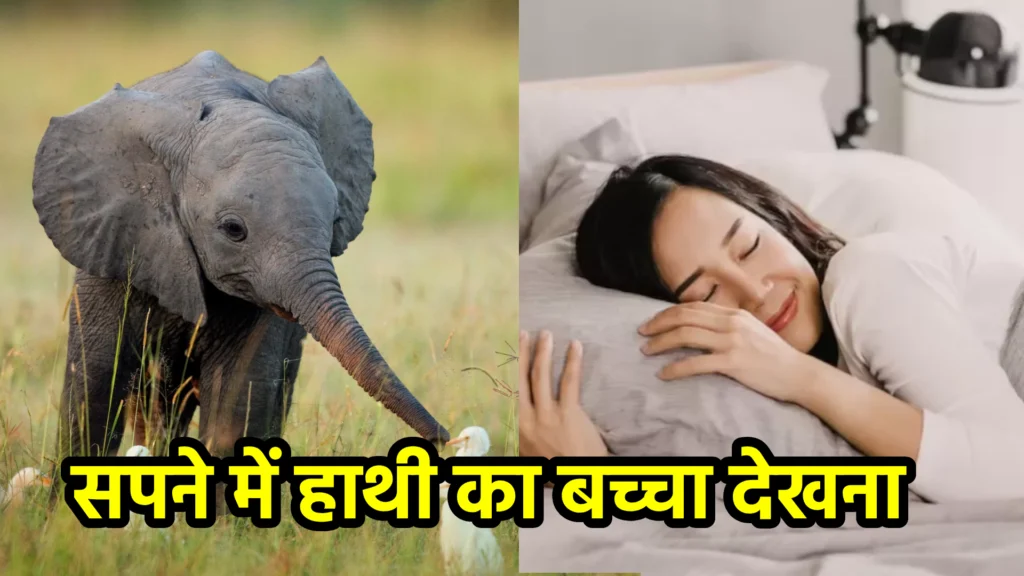 सपने में हाथी का बच्चा देखना