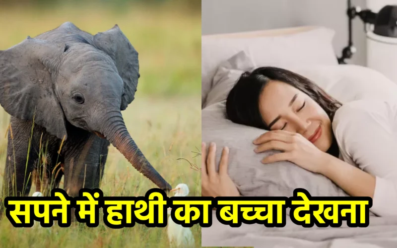 सपने में हाथी का बच्चा देखना