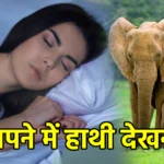 सपने में हाथी देखना
