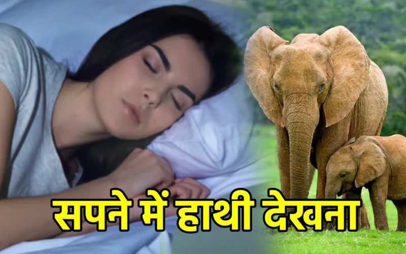 सपने में हाथी देखना