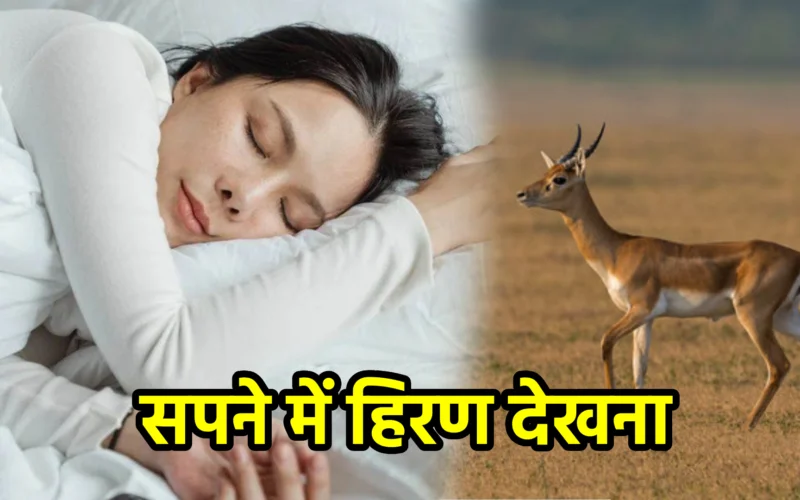 सपने में हिरण देखना : जानिए कोमलता, स्वतंत्रता और जीवन के नवीन अवसरों का संकेत