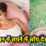सावन में सपने में साँप देखना