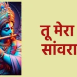 तू मेरा ही सांवरा है