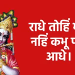 राधे तोहिं भूलूँ नहिं कभू पल आधे।