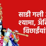 साडी गली आवे श्यामा, अँखियां विछाईंयां वे
